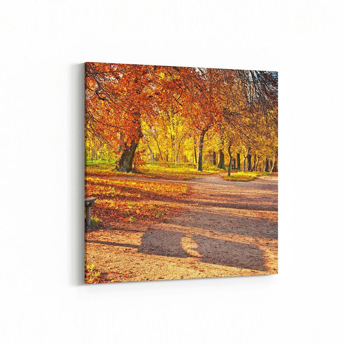 Olla 13554K Doğa / Manzara Görseli Kare Kanvas Tablo (Ölçü: 25X25)