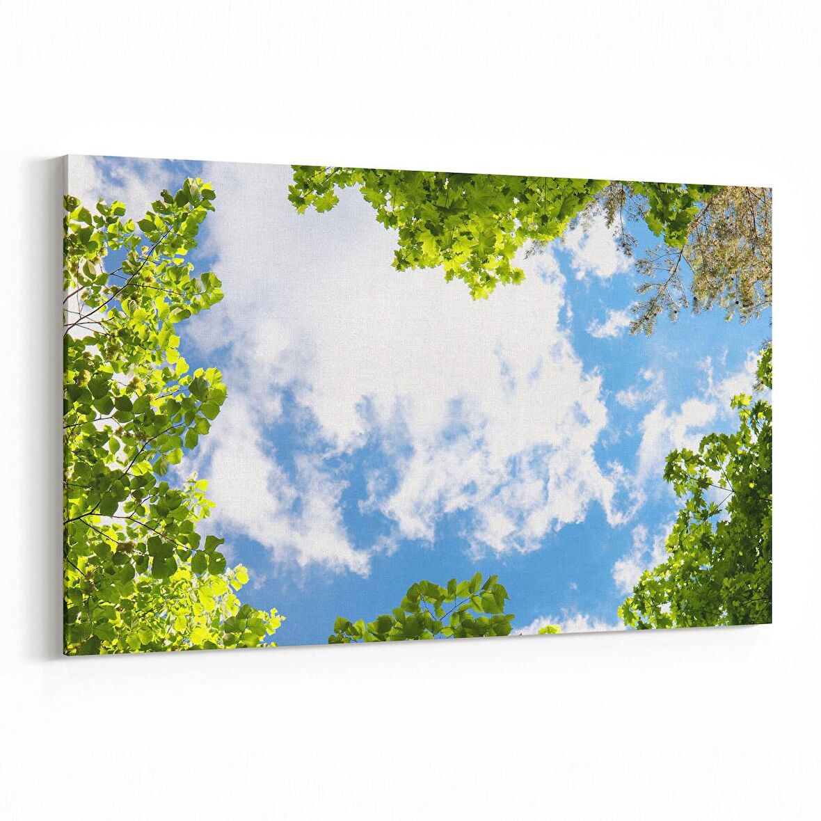 Olla 10791Y Ağaç Görseli Yatay Kanvas Tablo (Ölçü: 90X60)