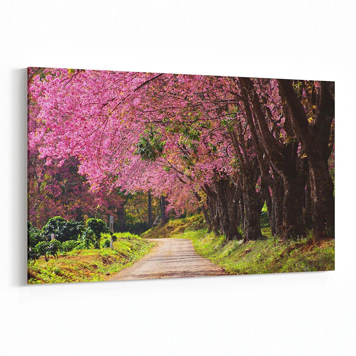 Olla 13347Y Doğa / Manzara Görseli Yatay Kanvas Tablo (Ölçü: 45X30)