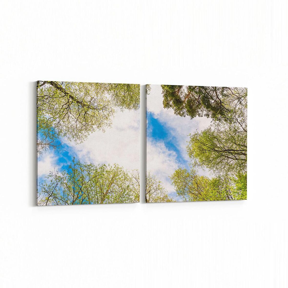 Olla 10868K2Y Ağaç Görseli Kare 2'li Yatay Kanvas Tablo (Ölçü: 65X30)
