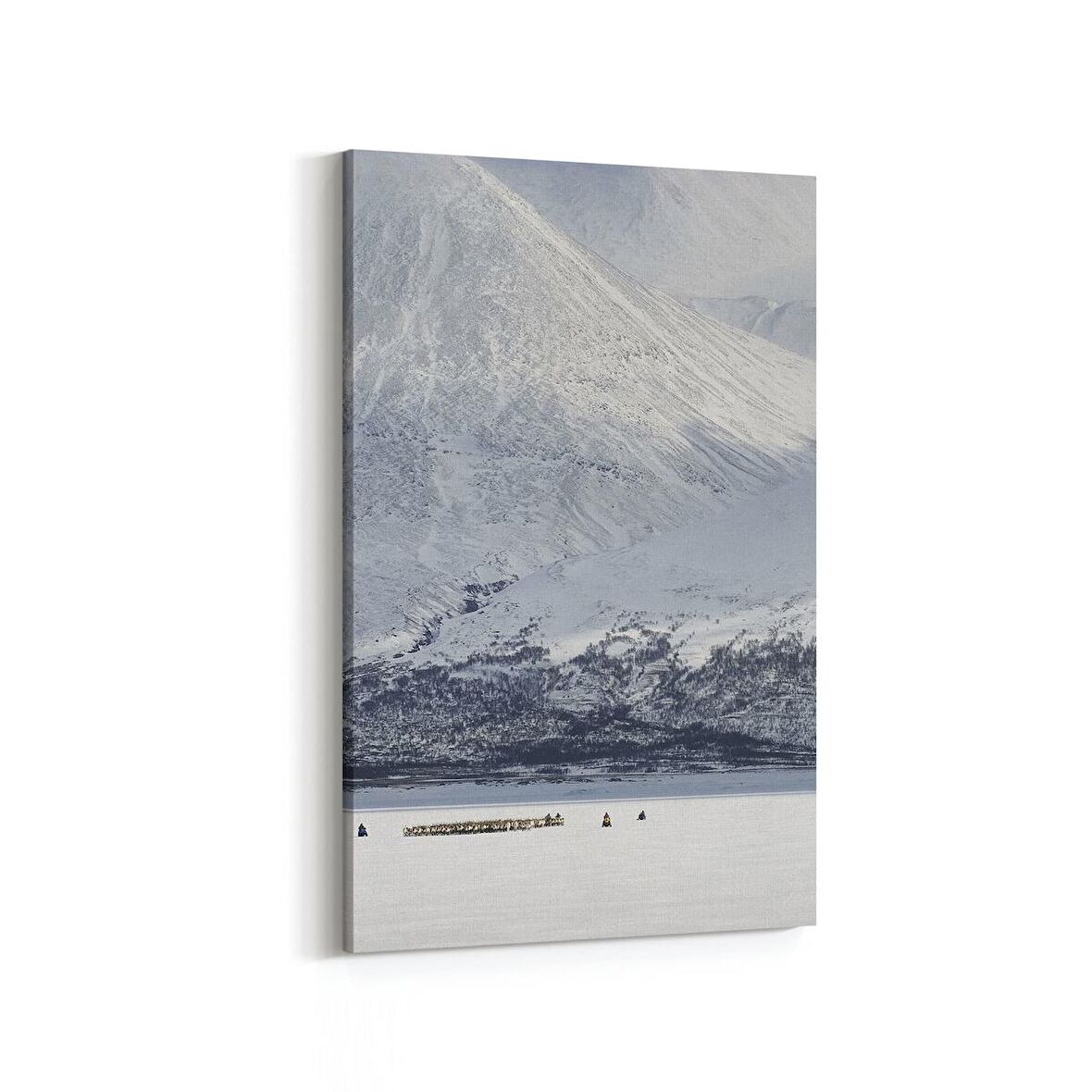 Olla 13604D Doğa / Manzara Görseli Dikey Kanvas Tablo (Ölçü: 80X120)