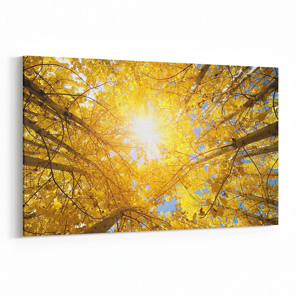 Olla 11024Y Ağaç Görseli Yatay Kanvas Tablo (Ölçü: 45X30)