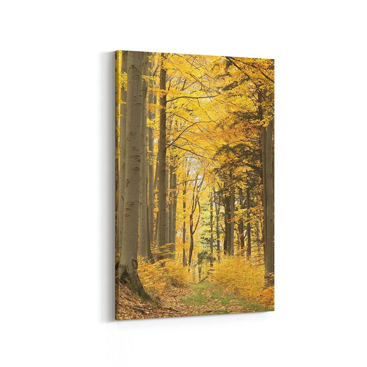 Olla 14599D Doğa / Manzara Görseli Dikey Kanvas Tablo (Ölçü: 60X90)