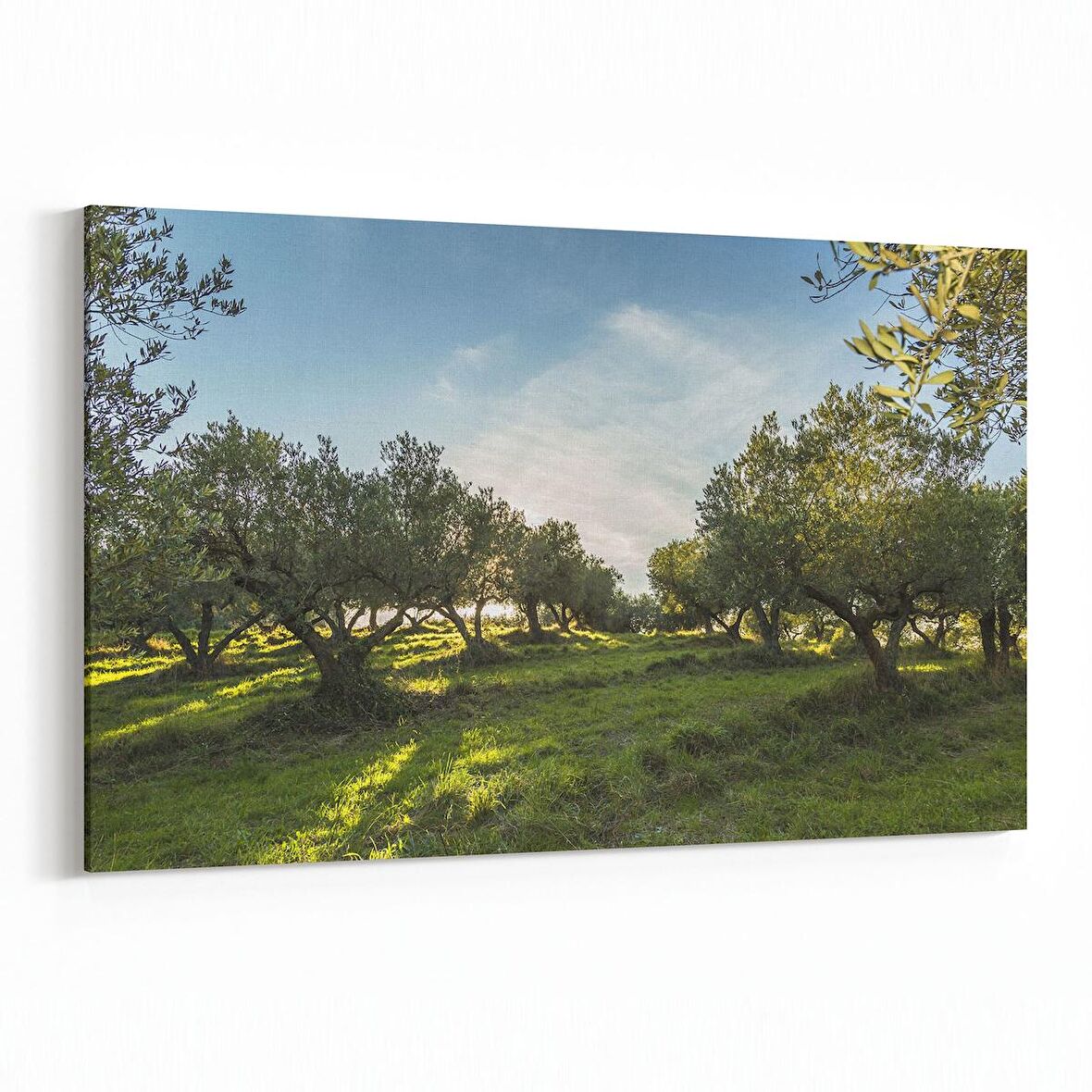 Olla 14244Y Doğa / Manzara Görseli Yatay Kanvas Tablo (Ölçü: 90X60)