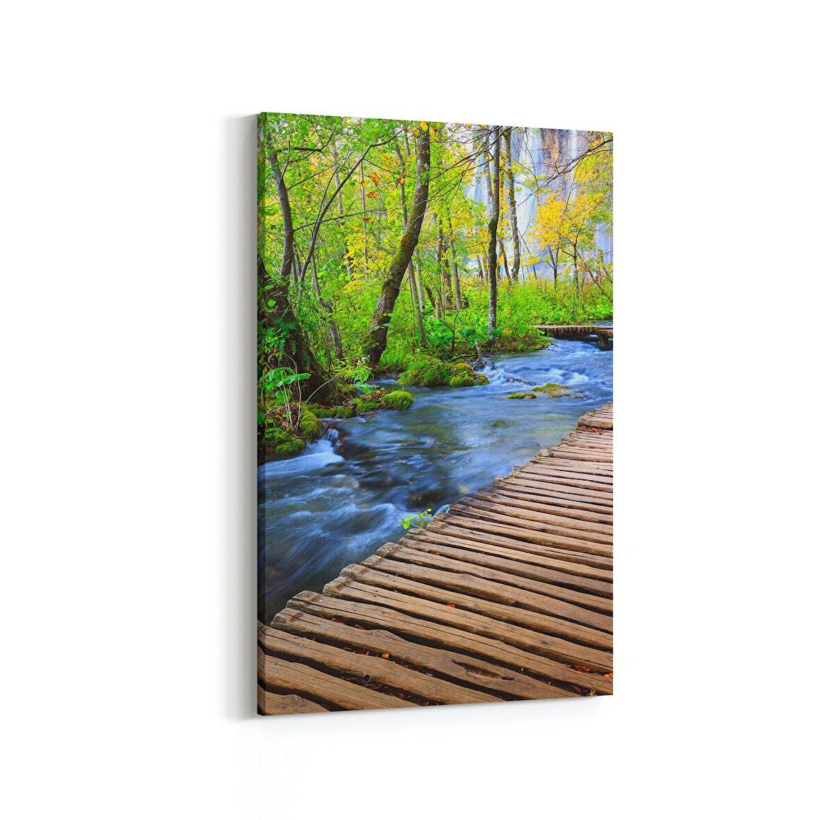 Olla 14164D Doğa / Manzara Görseli Dikey Kanvas Tablo (Ölçü: 100X150)