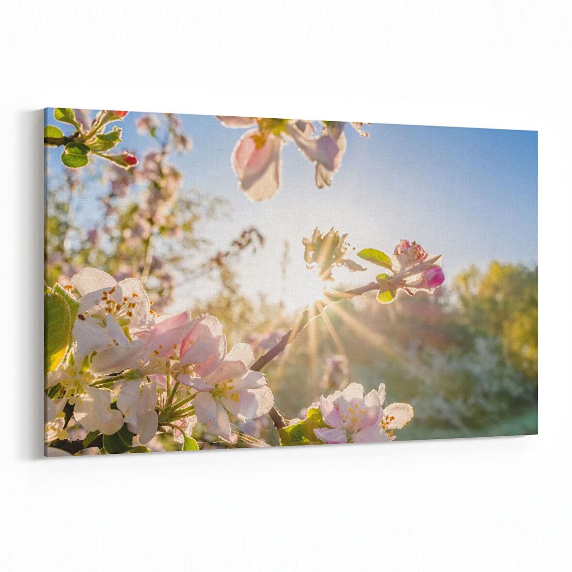 Olla 10537Y Ağaç Görseli Yatay Kanvas Tablo (Ölçü: 45X30)