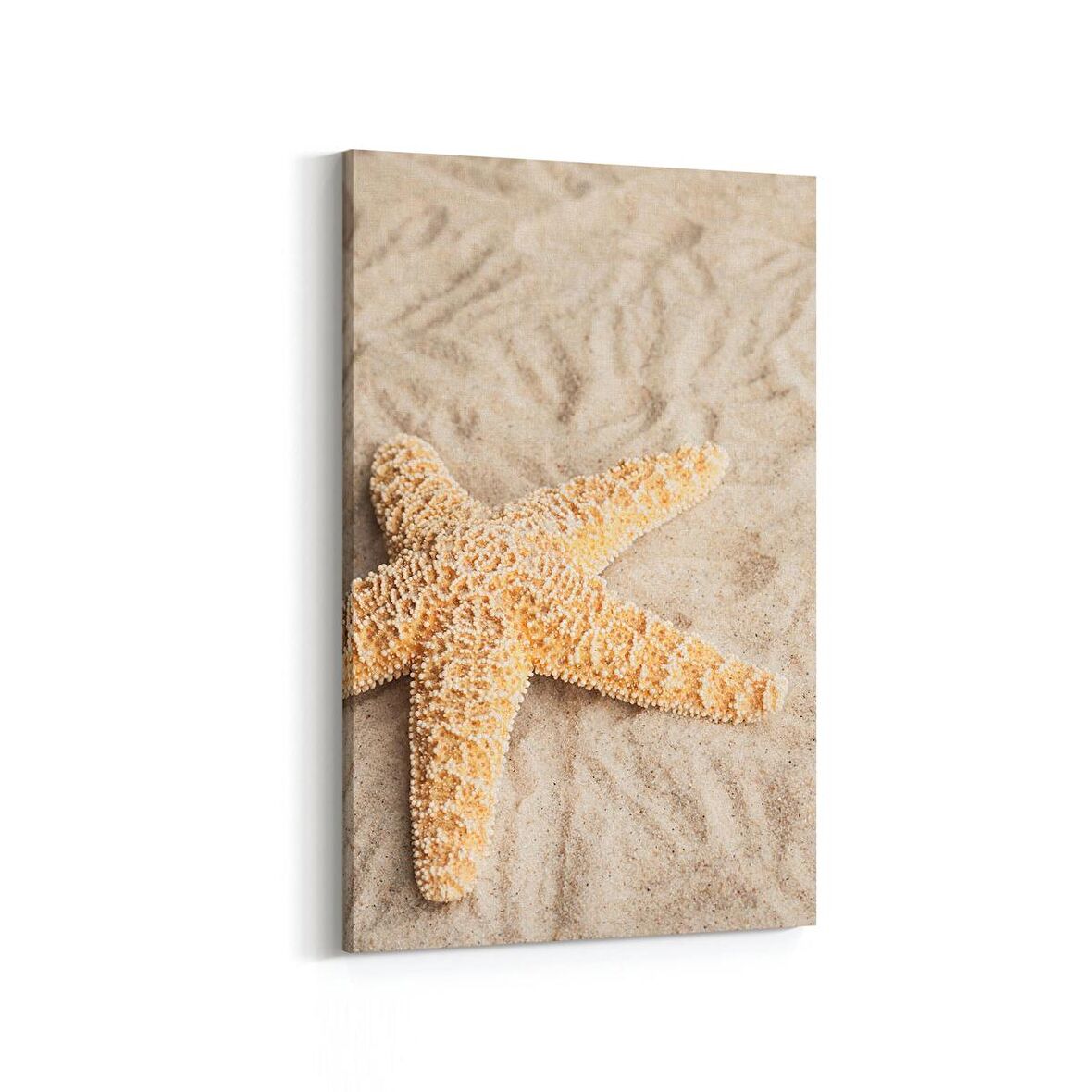 Olla 16460D Kumsal / Sahil Görseli Dikey Kanvas Tablo (Ölçü: 60X90)
