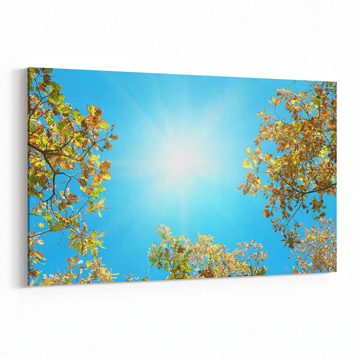 Olla 10520Y Ağaç Görseli Yatay Kanvas Tablo (Ölçü: 30X20)