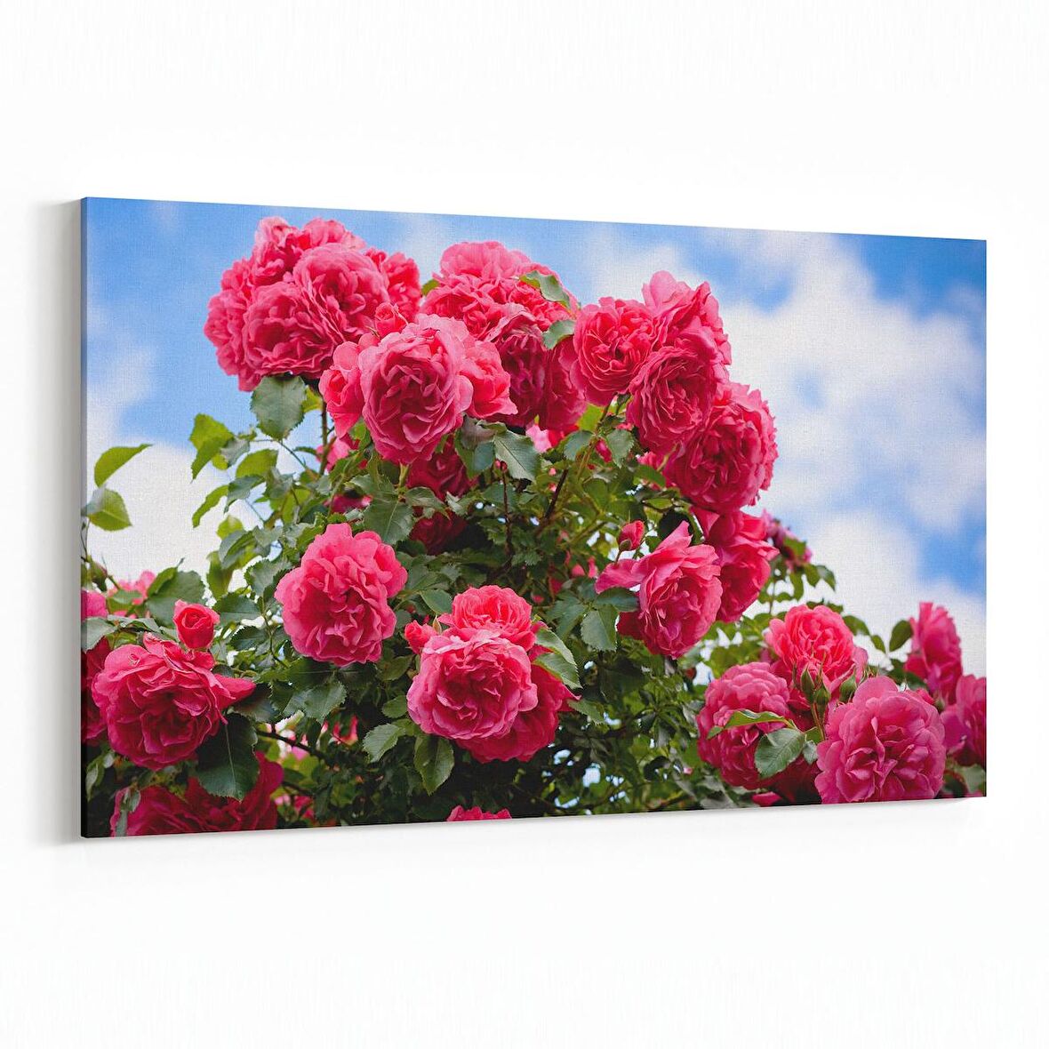 Olla 10806Y Ağaç Görseli Yatay Kanvas Tablo (Ölçü: 70X50)