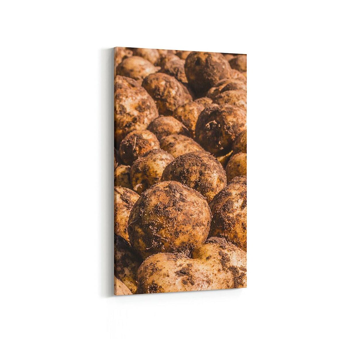 Olla 15239DD Gıda Görseli Dikey Dar Kanvas Tablo (Ölçü: 40X80)