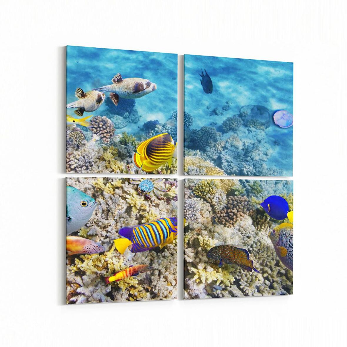 Olla 12127K4 Akvaryum / Balık Görseli Kare 4'lü Kanvas Tablo (Ölçü: 125X125)