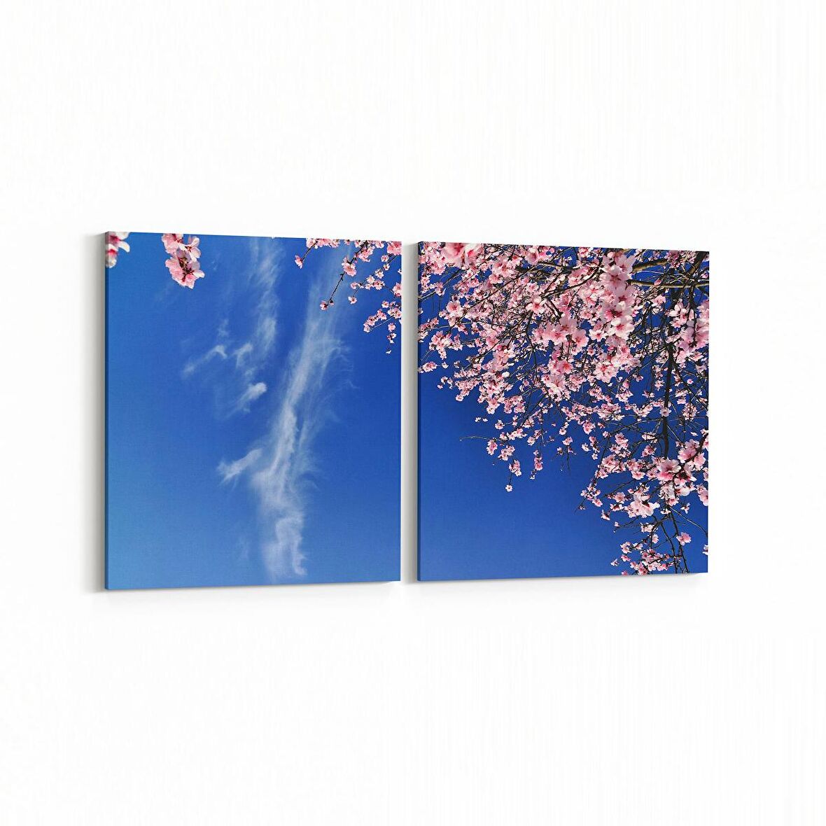 Olla 10674K2Y Ağaç Görseli Kare 2'li Yatay Kanvas Tablo (Ölçü: 65X30)