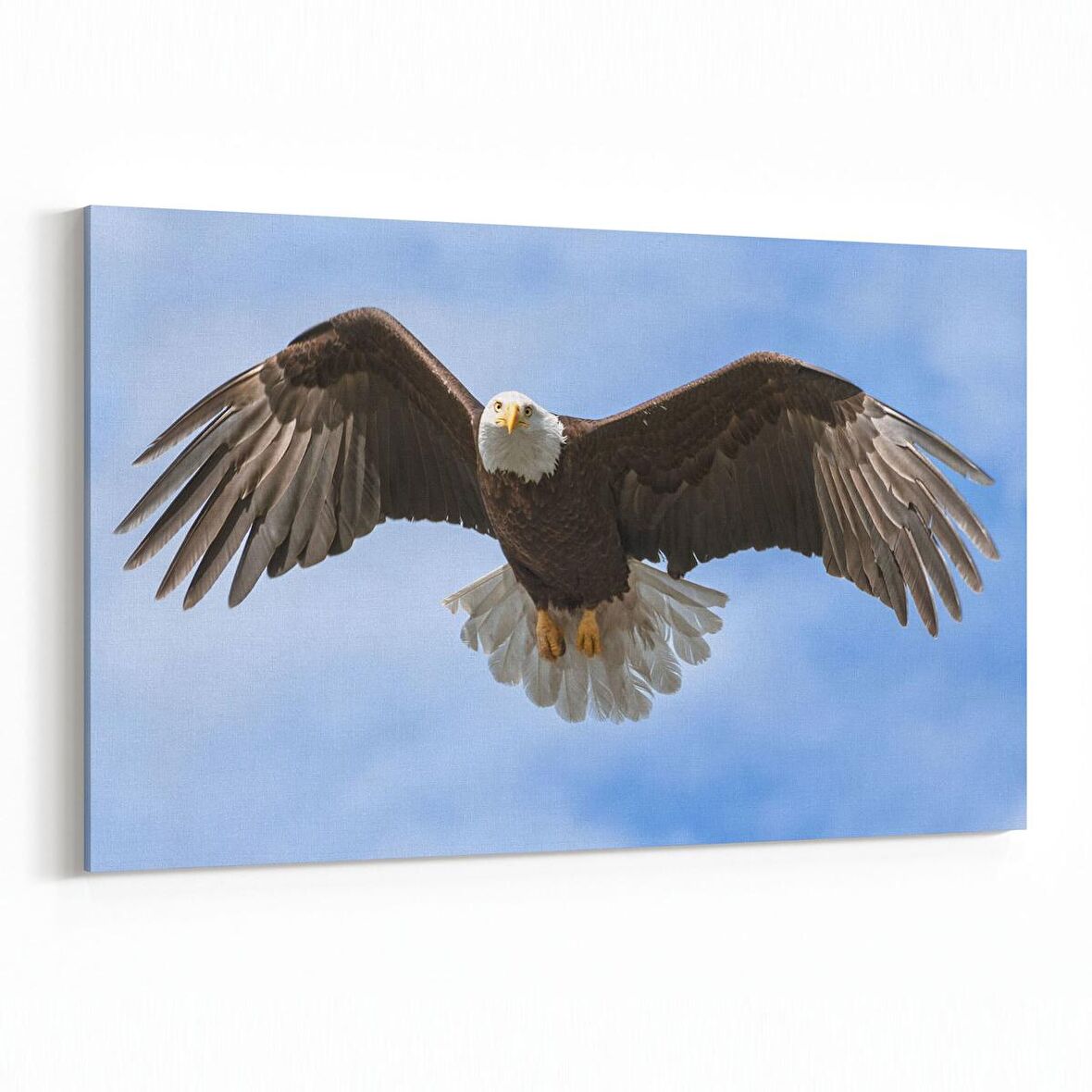 Olla 12652Y Hayvanlar Alemi Görseli Yatay Kanvas Tablo (Ölçü: 150X100)