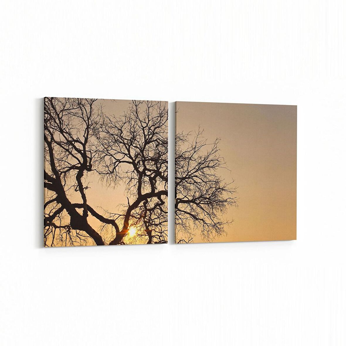 Olla 10559K2Y Ağaç Görseli Kare 2'li Yatay Kanvas Tablo (Ölçü: 105X50)