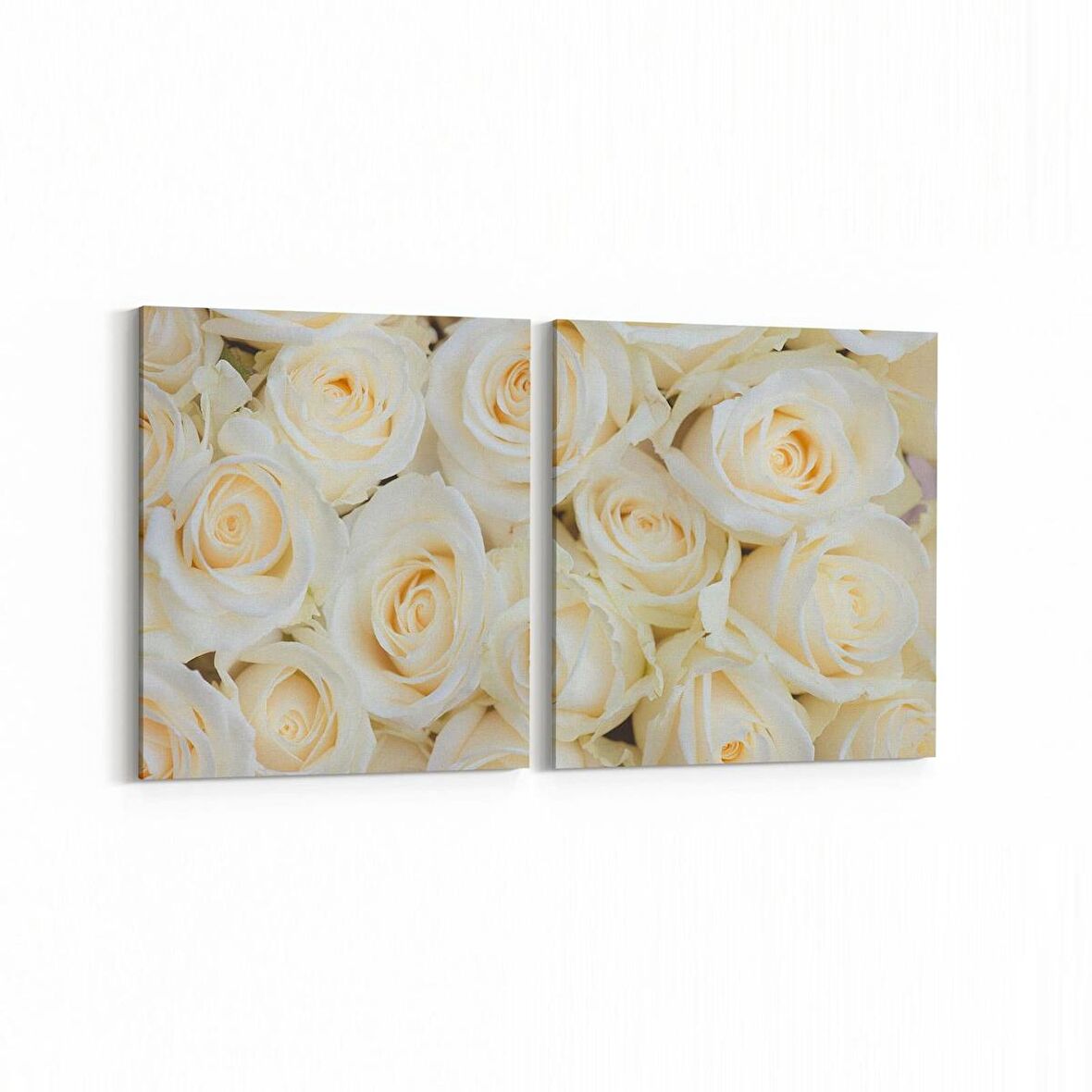 Olla 11608K2Y Çiçek Görseli Kare 2'li Yatay Kanvas Tablo (Ölçü: 65X30)
