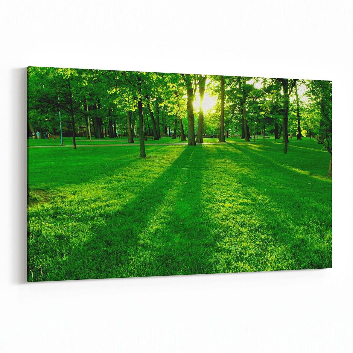 Olla 13929Y Doğa / Manzara Görseli Yatay Kanvas Tablo (Ölçü: 90X60)