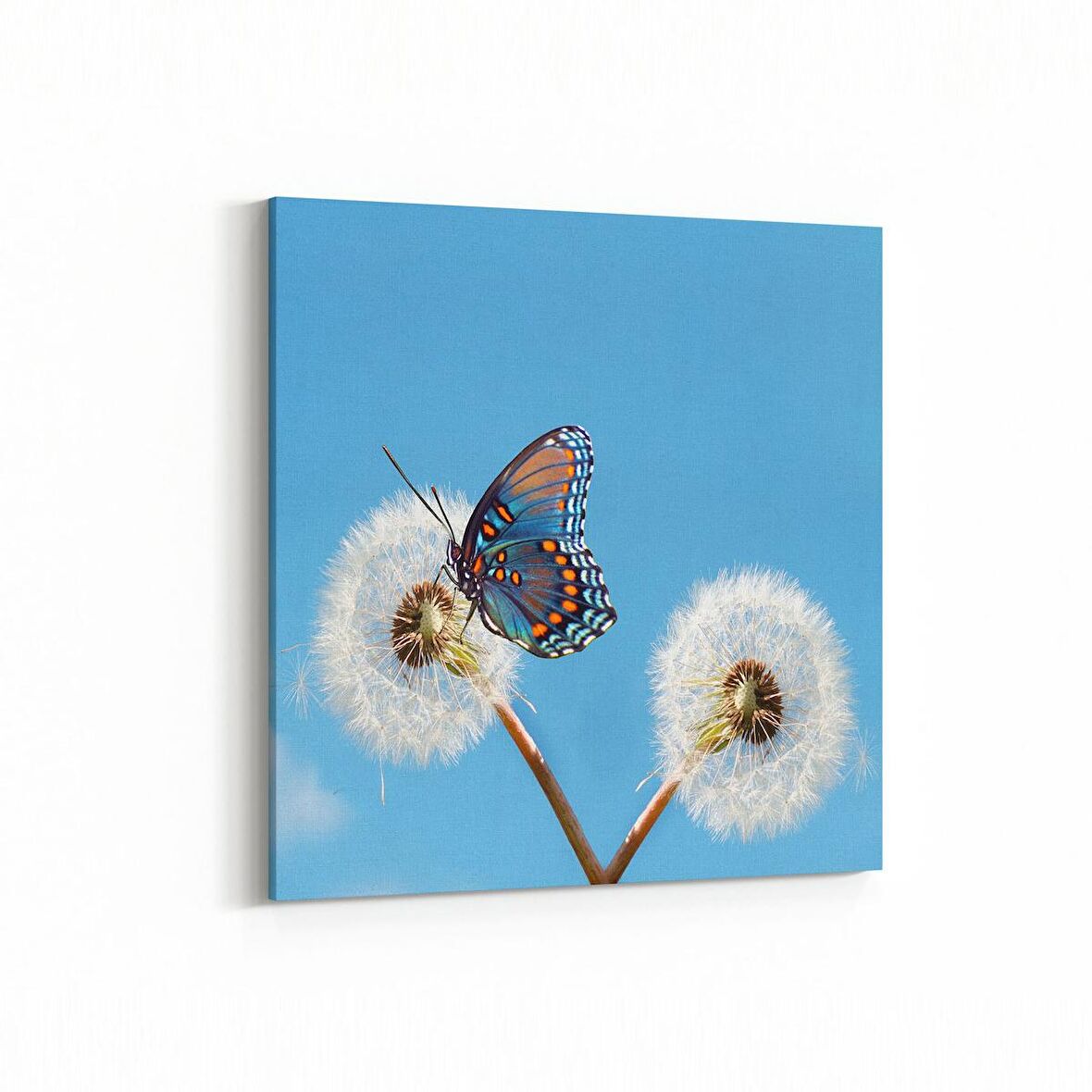 Olla 12670K Hayvanlar Alemi Görseli Kare Kanvas Tablo (Ölçü: 25X25)