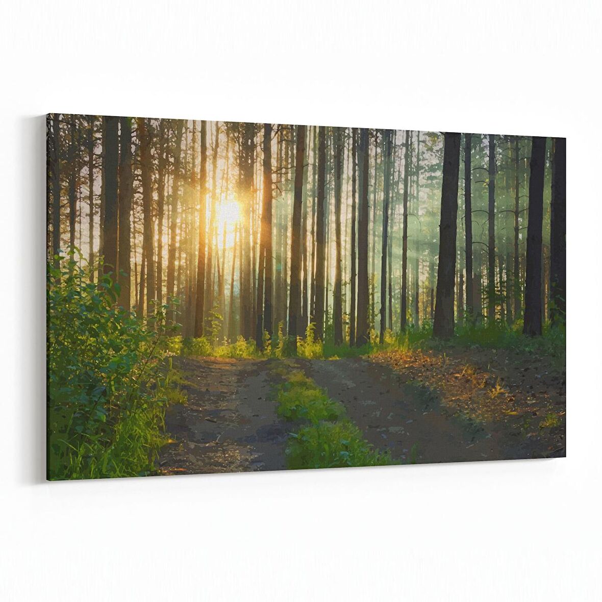 Olla 13833Y Doğa / Manzara Görseli Yatay Kanvas Tablo (Ölçü: 120X80)