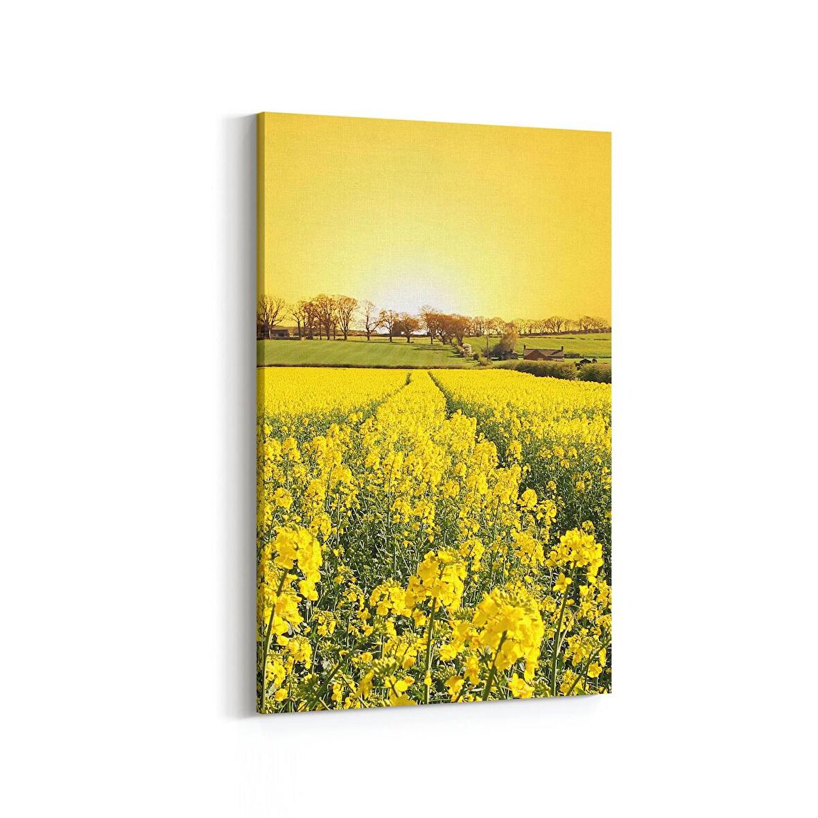 Olla 13536D Doğa / Manzara Görseli Dikey Kanvas Tablo (Ölçü: 100X150)