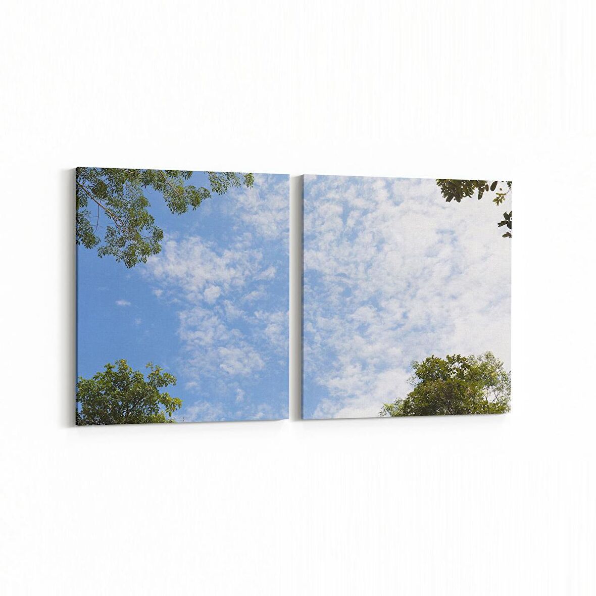 Olla 11012K2Y Ağaç Görseli Kare 2'li Yatay Kanvas Tablo (Ölçü: 145X70)