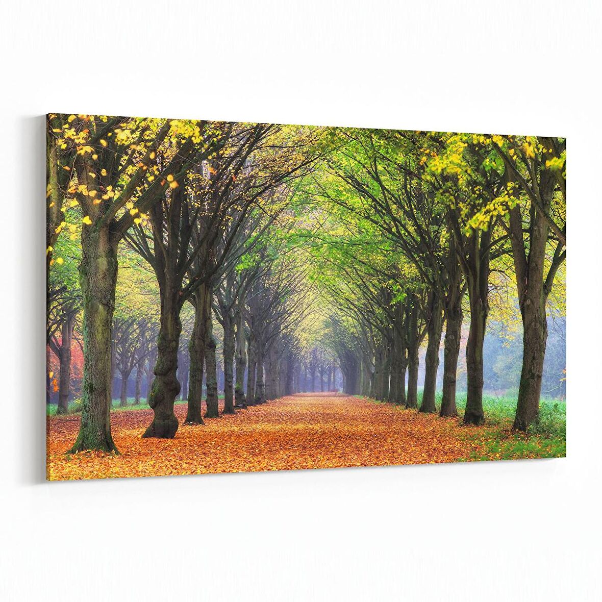 Olla 13411Y Doğa / Manzara Görseli Yatay Kanvas Tablo (Ölçü: 120X80)