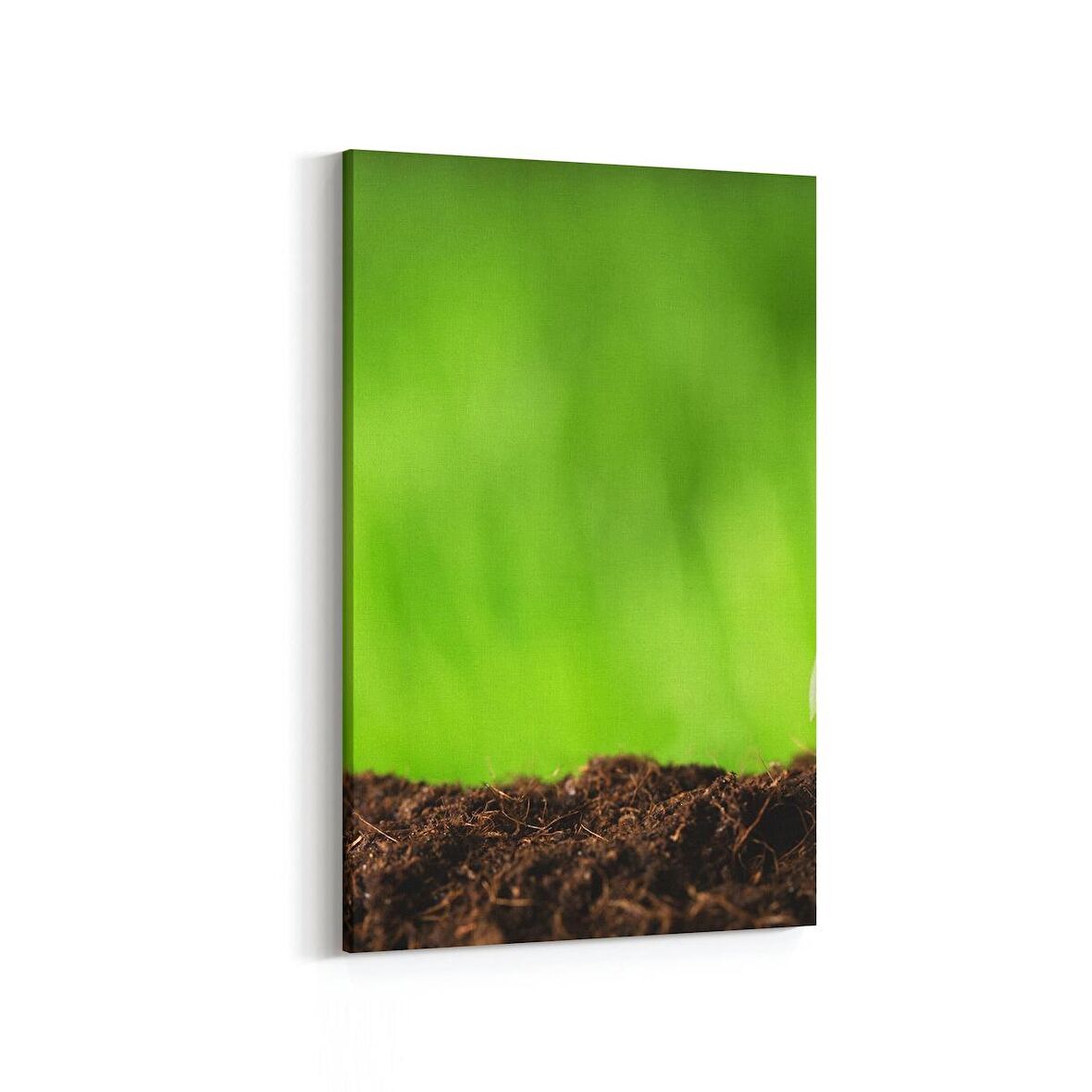 Olla 14287D Doğa / Manzara Görseli Dikey Kanvas Tablo (Ölçü: 20X30)