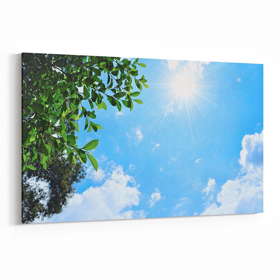 Olla 10843Y Ağaç Görseli Yatay Kanvas Tablo (Ölçü: 70X50)