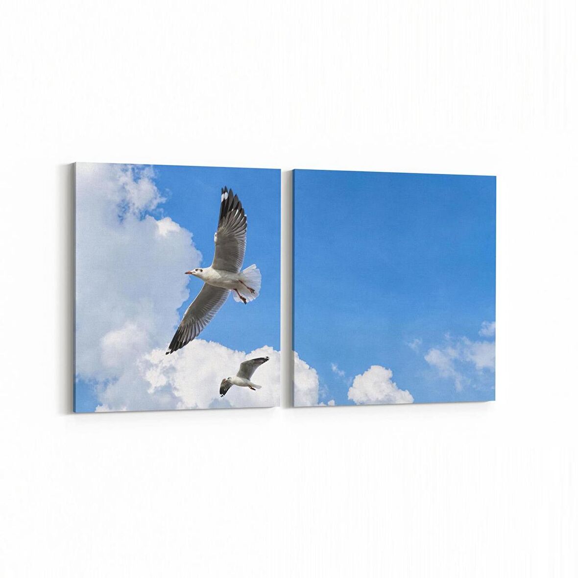Olla 15854K2Y Gökyüzü Kuşlar Görseli Kare 2'li Yatay Kanvas Tablo (Ölçü: 85X40)