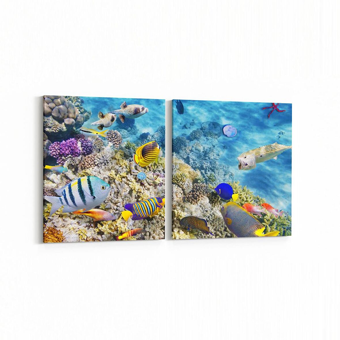 Olla 12127K2Y Akvaryum / Balık Görseli Kare 2'li Yatay Kanvas Tablo (Ölçü: 65X30)