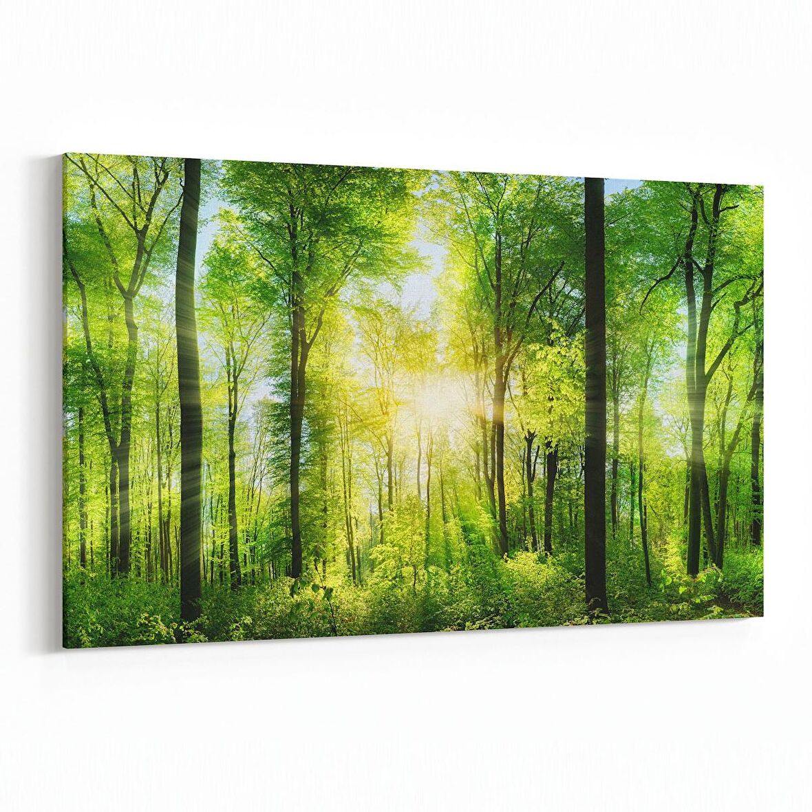 Olla 13838Y Doğa / Manzara Görseli Yatay Kanvas Tablo (Ölçü: 45X30)