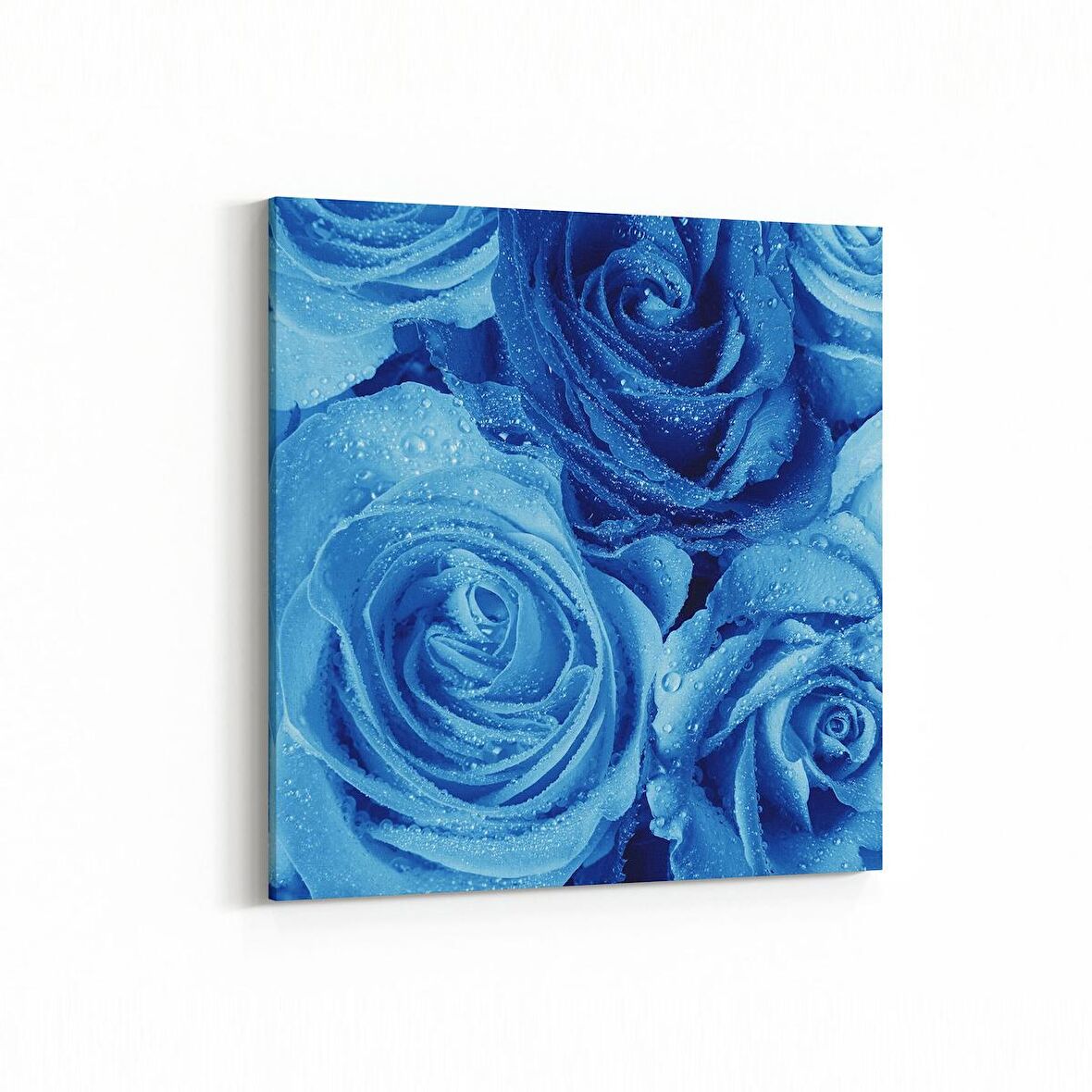 Olla 11598K Çiçek Görseli Kare Kanvas Tablo (Ölçü: 100X100)