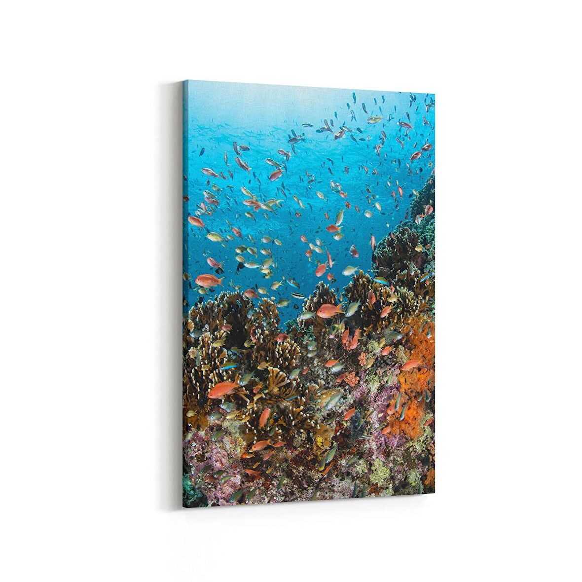 Olla 12137D Akvaryum / Balık Görseli Dikey Kanvas Tablo (Ölçü: 60X90)