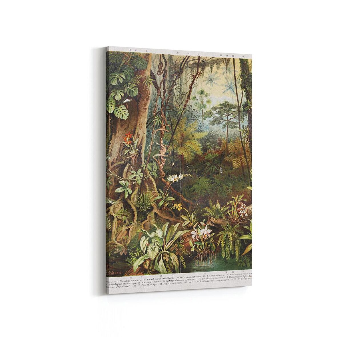 Olla 13159D Doğa / Manzara Görseli Dikey Kanvas Tablo (Ölçü: 100X150)