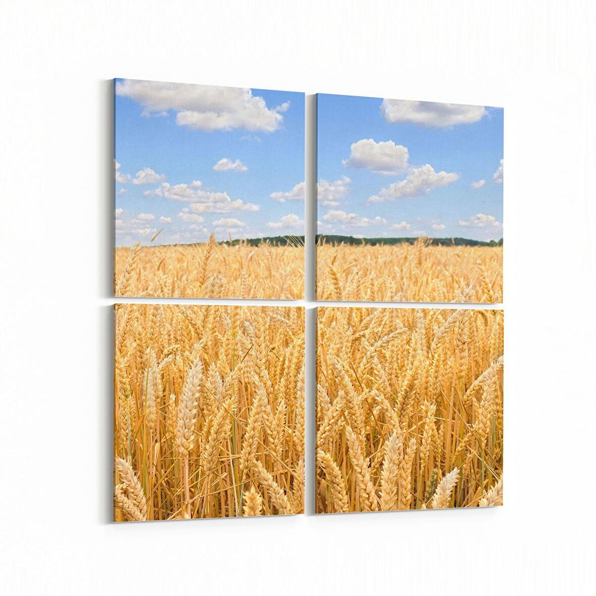 Olla 14284K4 Doğa / Manzara Görseli Kare 4'lü Kanvas Tablo (Ölçü: 65X65)