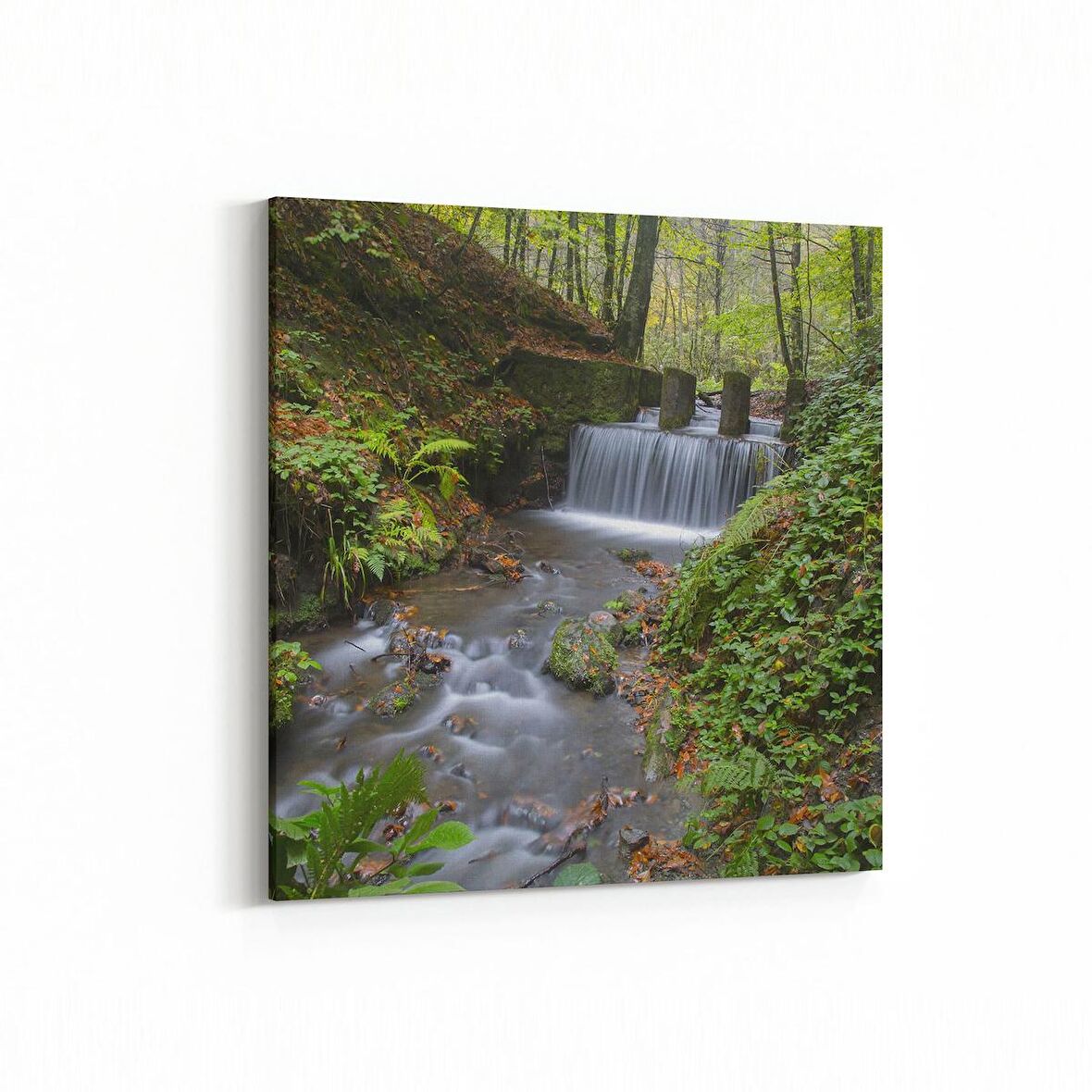 Olla 13919K Doğa / Manzara Görseli Kare Kanvas Tablo (Ölçü: 30X30)