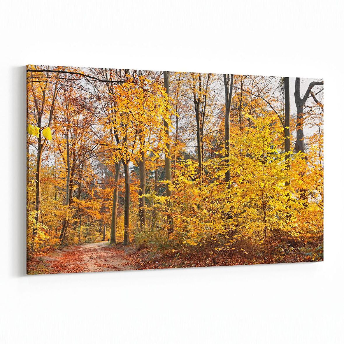 Olla 13280Y Doğa / Manzara Görseli Yatay Kanvas Tablo (Ölçü: 90X60)