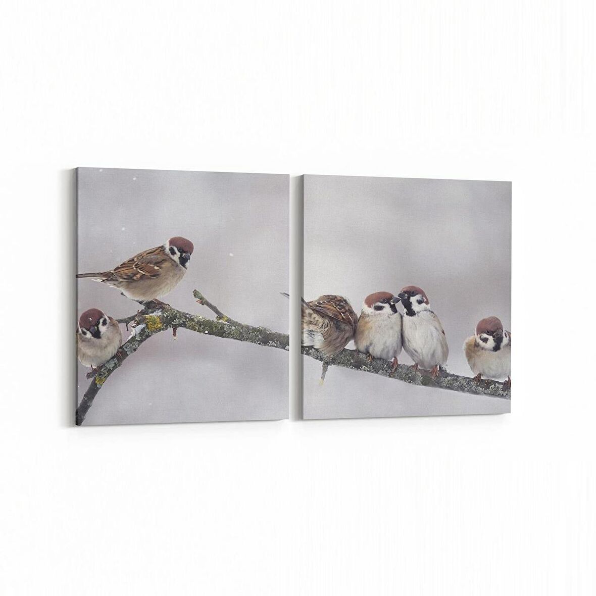 Olla 12594K2Y Hayvanlar Alemi Görseli Kare 2'li Yatay Kanvas Tablo (Ölçü: 65X30)