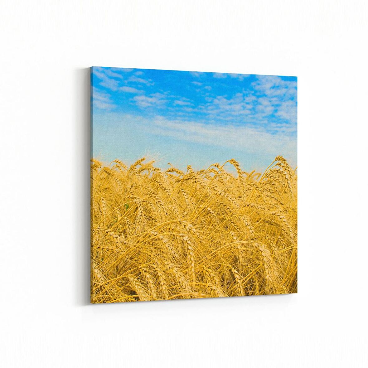 Olla 13799K Doğa / Manzara Görseli Kare Kanvas Tablo (Ölçü: 30X30)