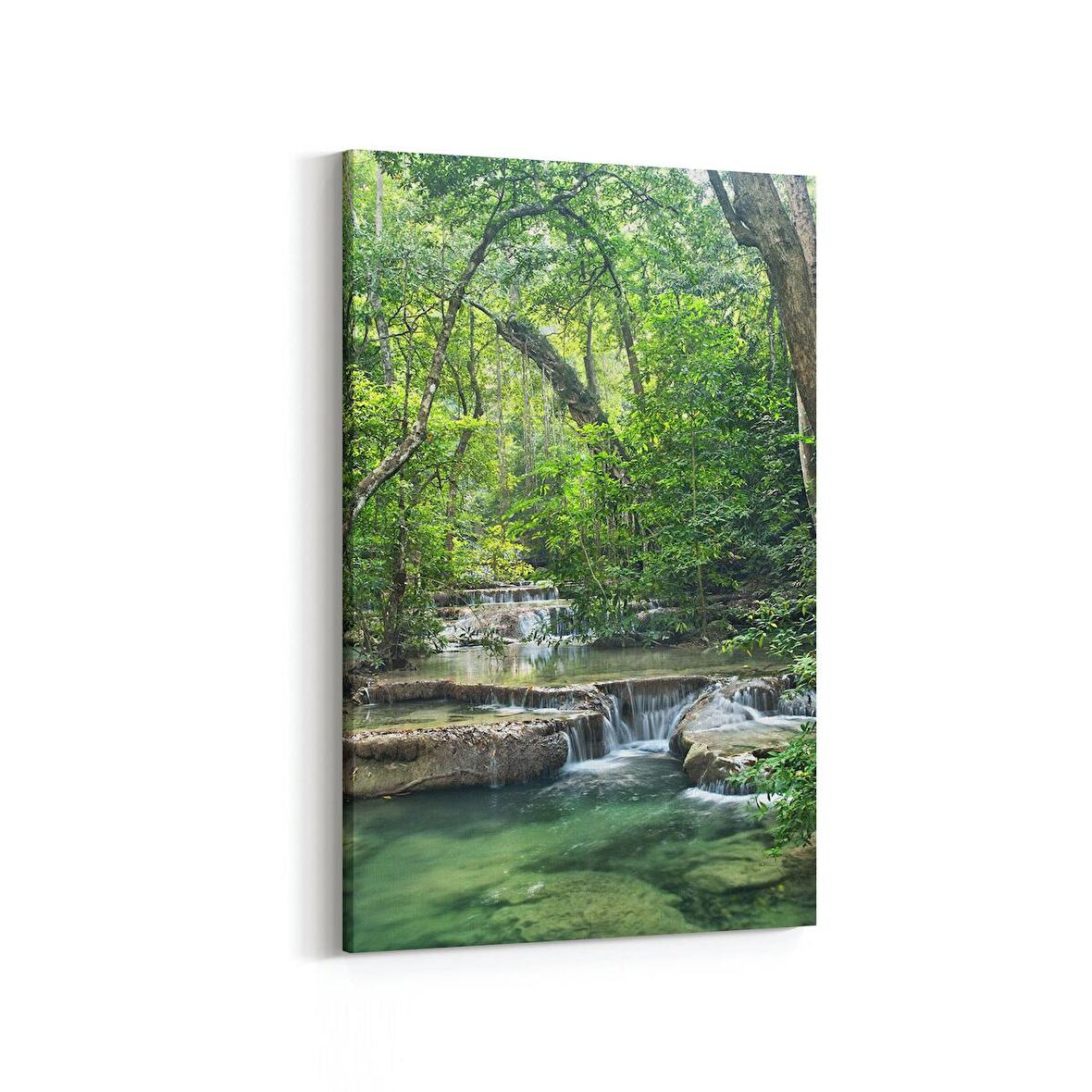 Olla 14635D Doğa / Manzara Görseli Dikey Kanvas Tablo (Ölçü: 80X120)