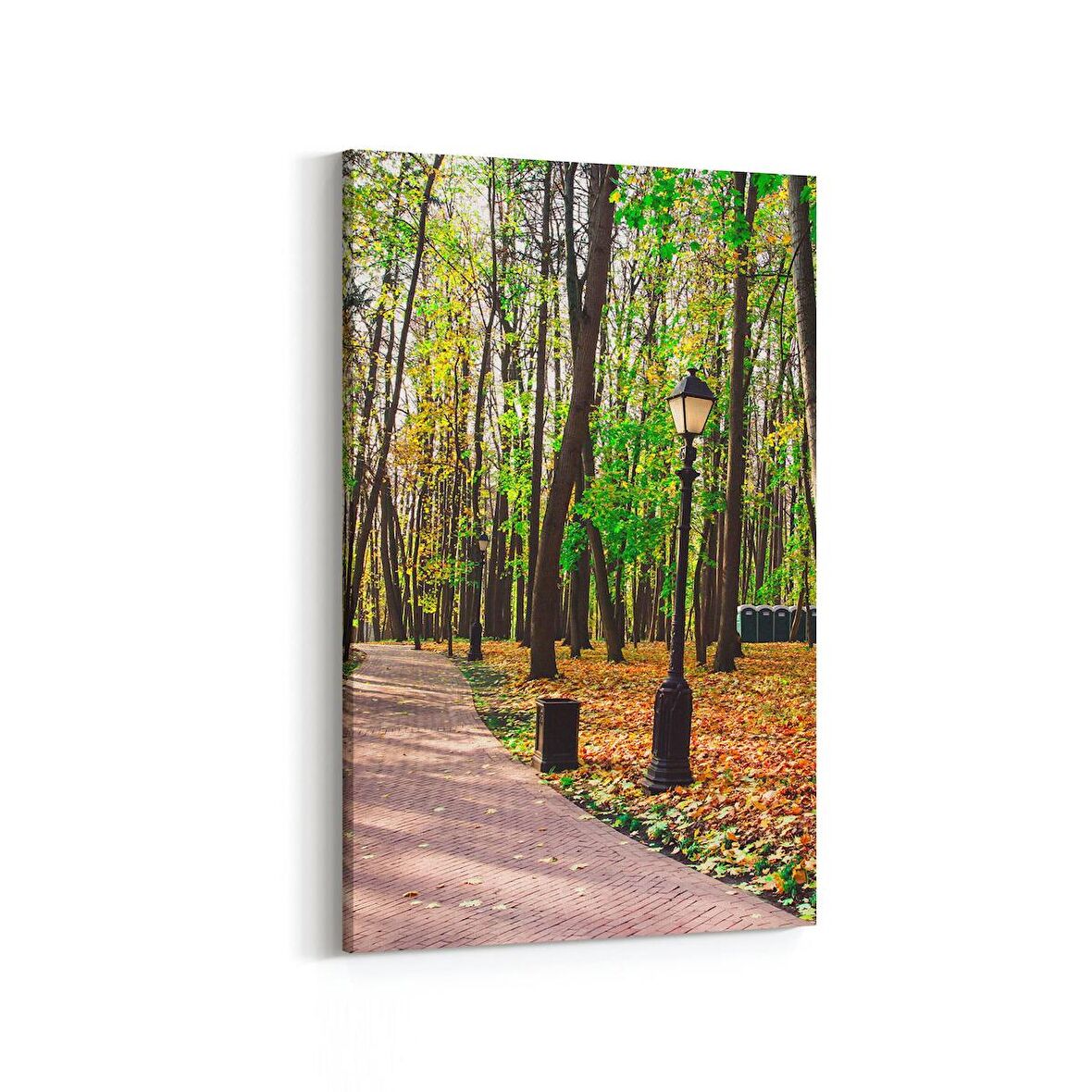 Olla 13549D Doğa / Manzara Görseli Dikey Kanvas Tablo (Ölçü: 100X150)