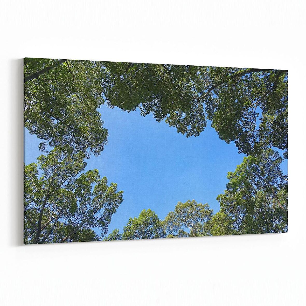 Olla 10984Y Ağaç Görseli Yatay Kanvas Tablo (Ölçü: 150X100)