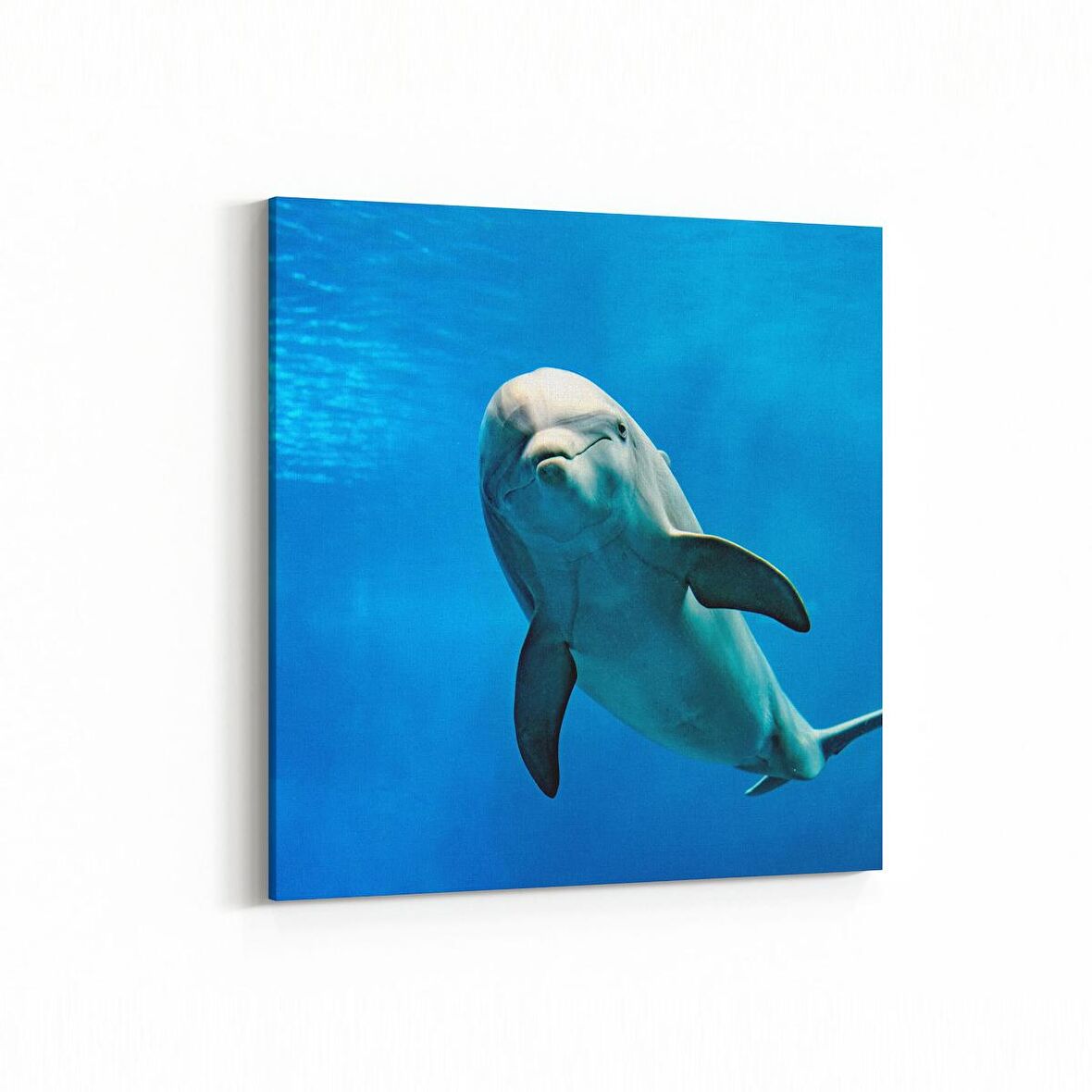 Olla 13007K Deniz / Okyanus Görseli Kare Kanvas Tablo (Ölçü: 25X25)