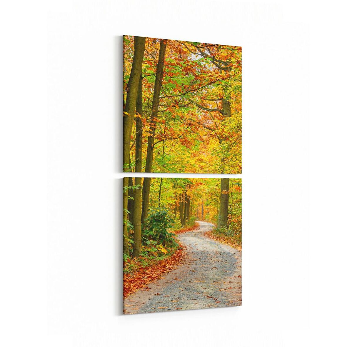 Olla 13743K2D Doğa / Manzara Görseli Kare 2'li Dikey Kanvas Tablo (Ölçü: 30X65)