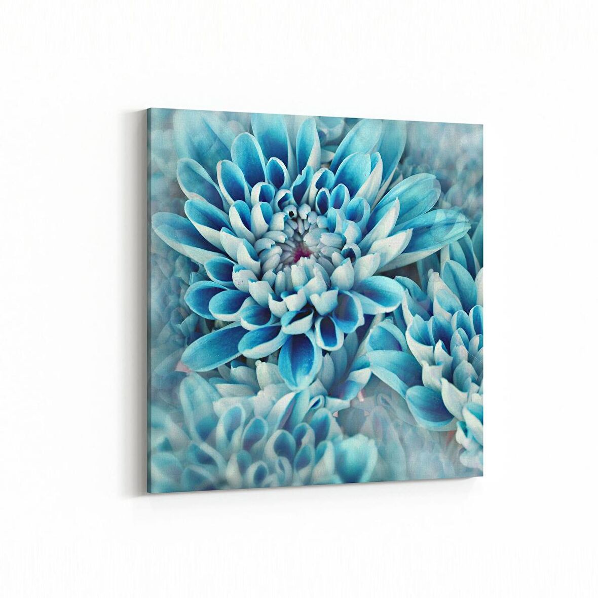 Olla 11649K Çiçek Görseli Kare Kanvas Tablo (Ölçü: 30X30)