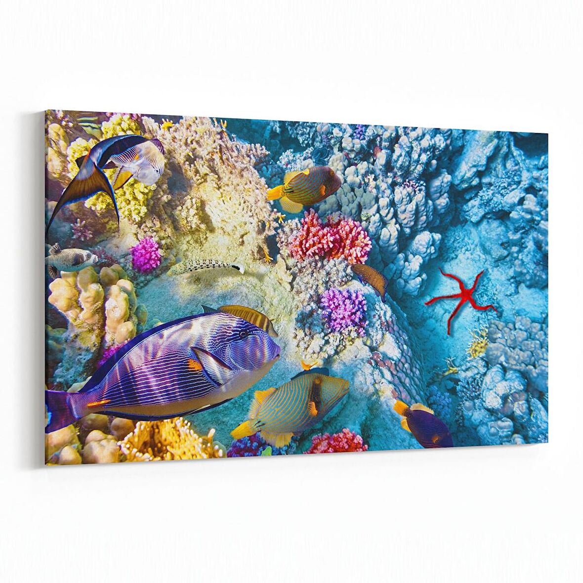 Olla 12131Y Akvaryum / Balık Görseli Yatay Kanvas Tablo (Ölçü: 45X30)