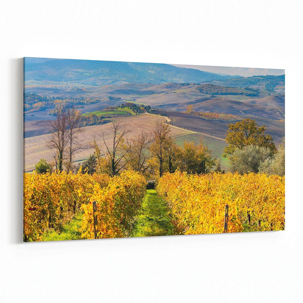 Olla 14170Y Doğa / Manzara Görseli Yatay Kanvas Tablo (Ölçü: 150X100)