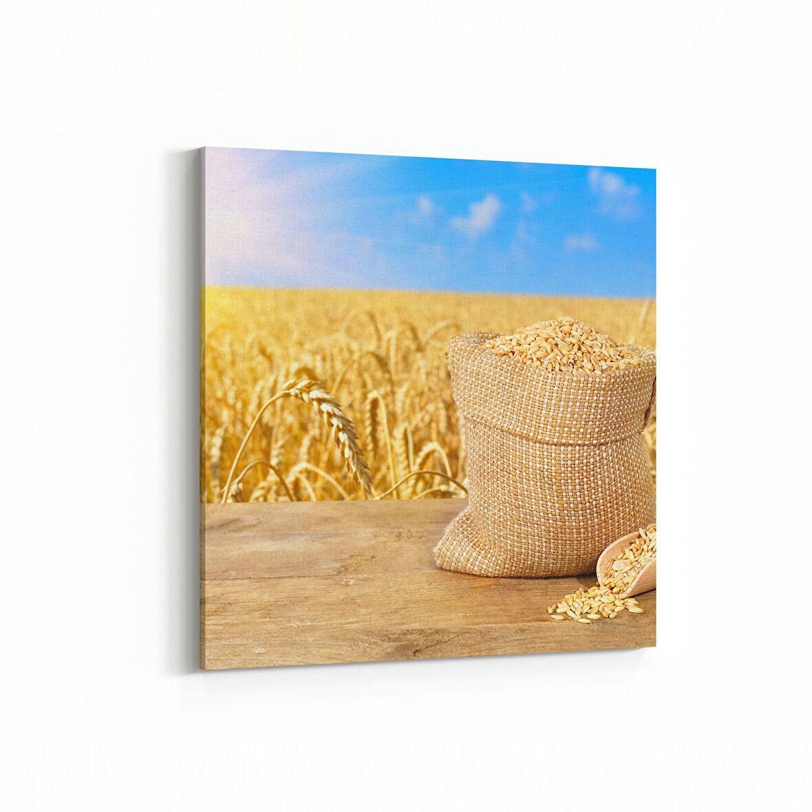 Olla 15235K Gıda Görseli Kare Kanvas Tablo (Ölçü: 25X25)