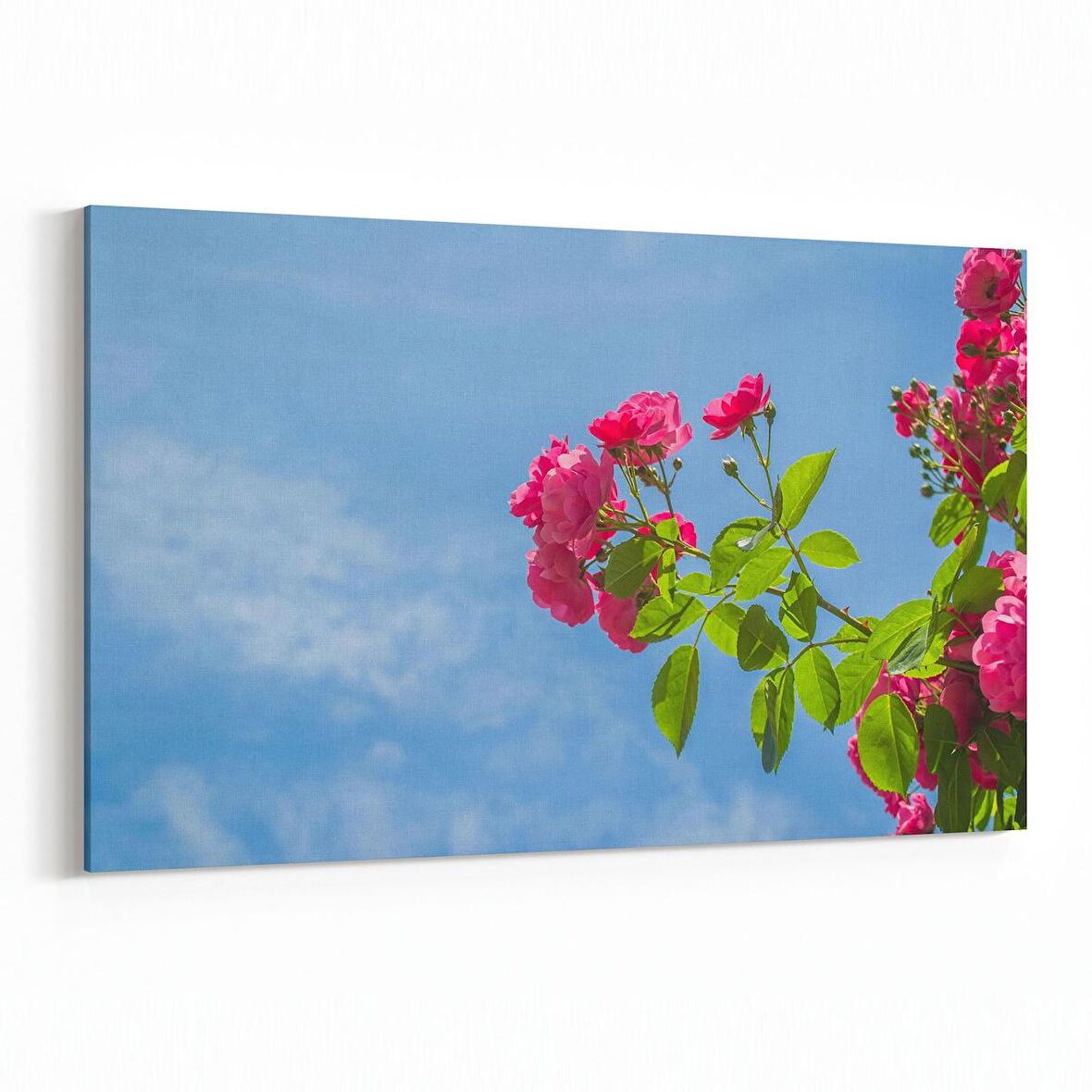 Olla 10874Y Ağaç Görseli Yatay Kanvas Tablo (Ölçü: 30X20)