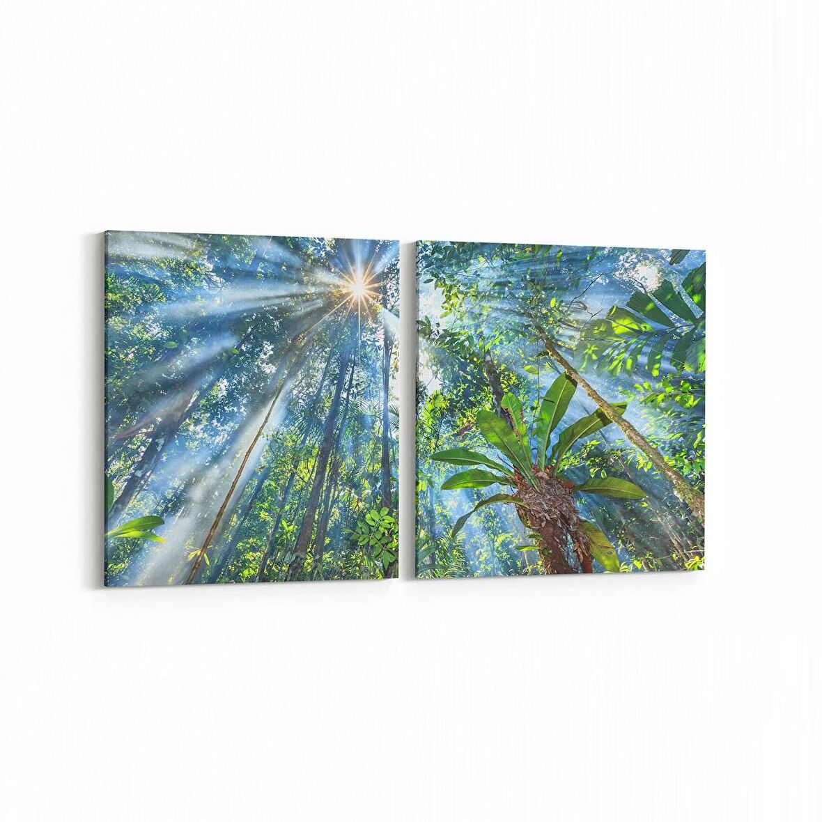 Olla 13682K2Y Doğa / Manzara Görseli Kare 2'li Yatay Kanvas Tablo (Ölçü: 145X70)