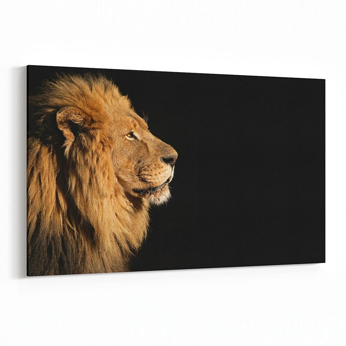 Olla 12559Y Hayvanlar Alemi Görseli Yatay Kanvas Tablo (Ölçü: 120X80)